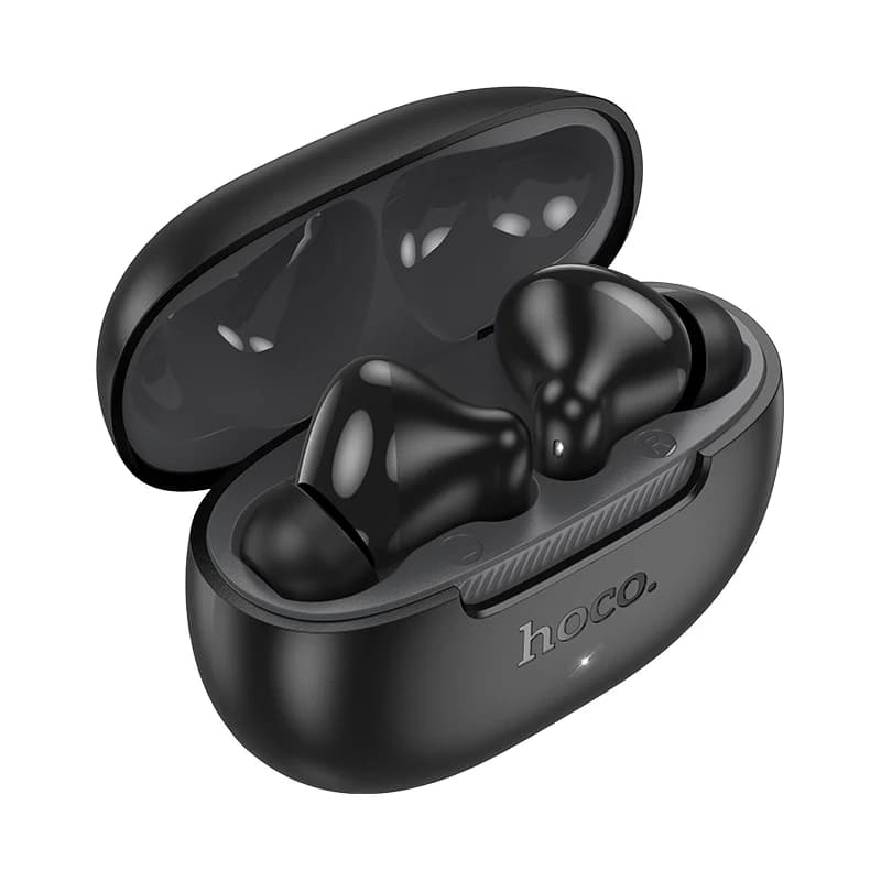 Hoco EQ24 Estrella Wireless Bluetooth Earbuds